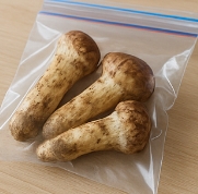 송이버섯 보관방법