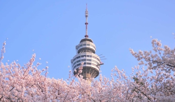 대구 놀러가볼만한 곳