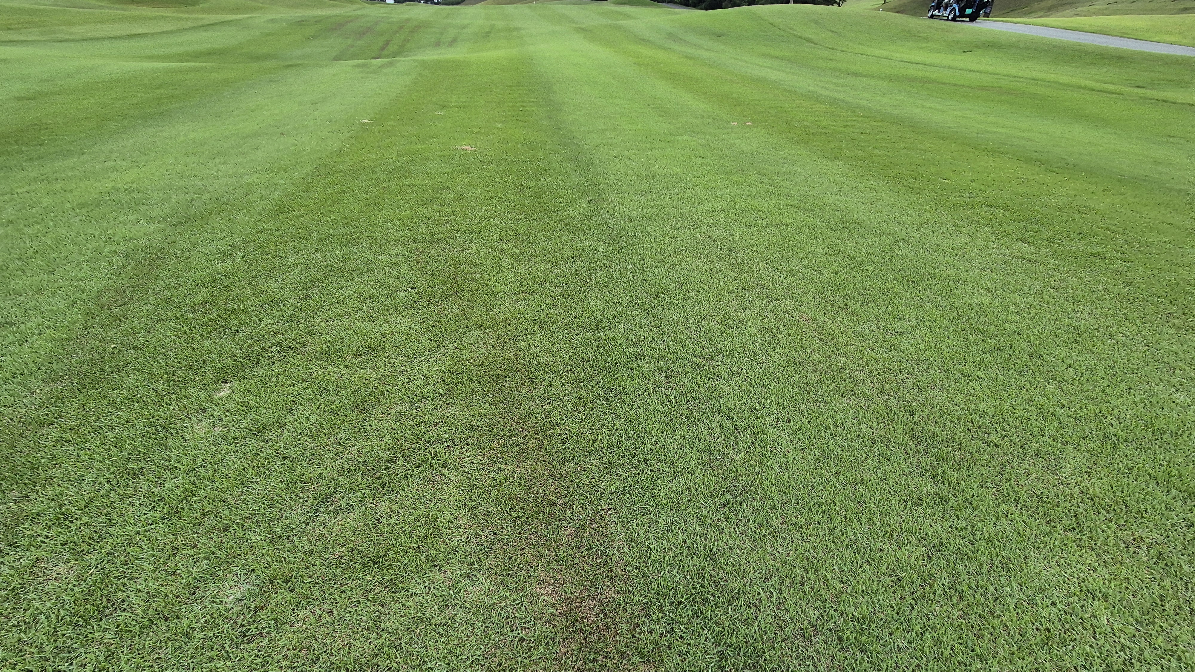 한림용인cc 다이아몬드-사파이어 코스 라운드 후기