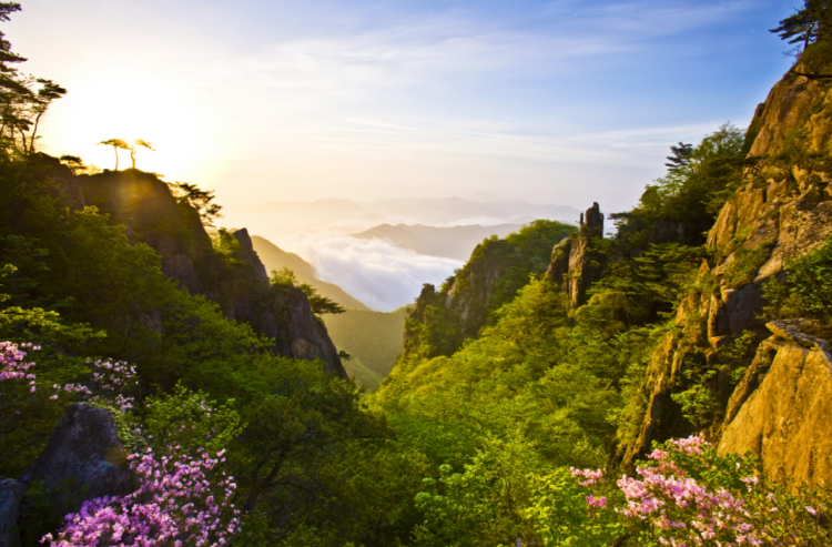 대둔산 등산코스