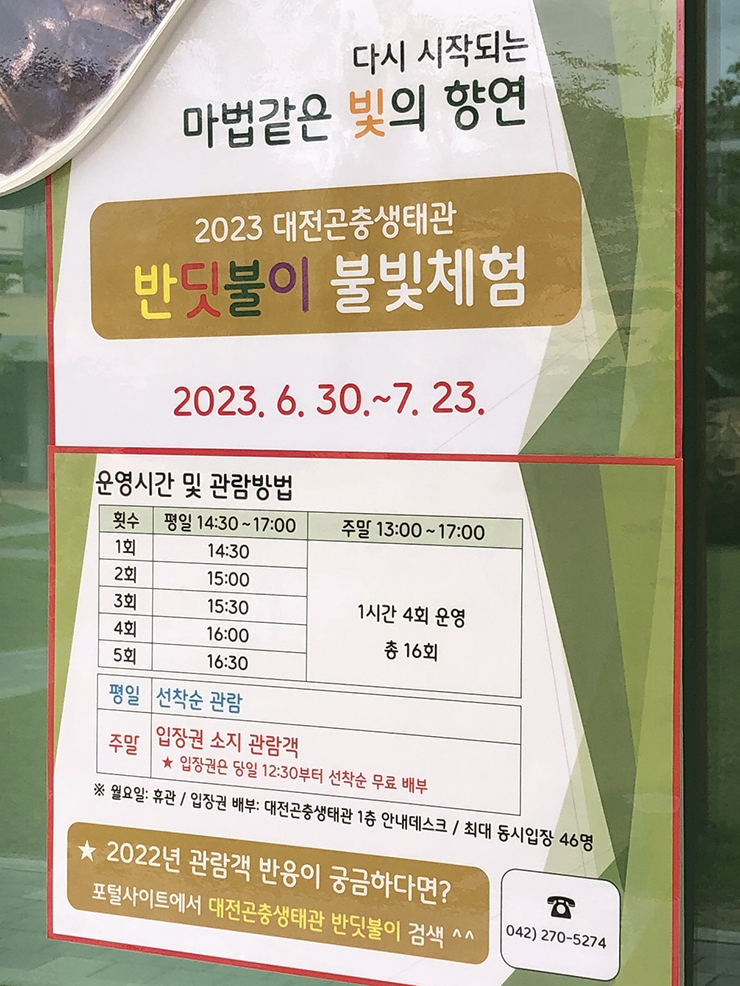 대전-반딧불이-체험