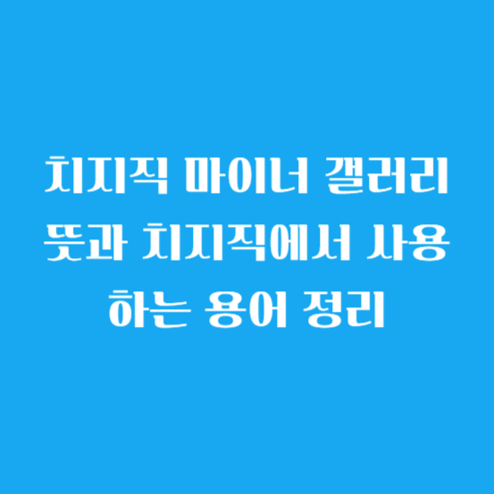 치지직 마이너 갤러리 뜻과 치지직에서 사용하는 용어 정리