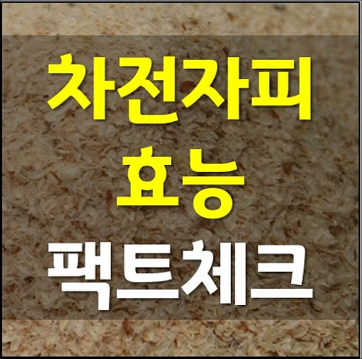 차전자피의-효능-썸네일