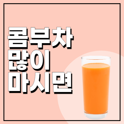 콤부차-많이-마시면-안되는-이유