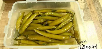 고추장아찌 담그는 법 황금레시피 아삭아삭하게_12
