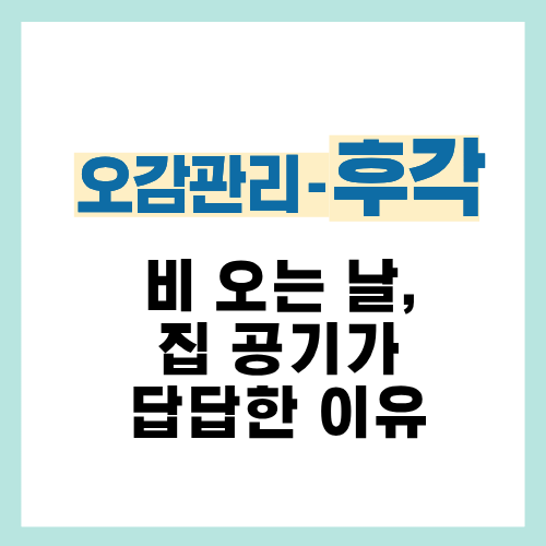 24편. 비 오는 날 집 안 공기가 답답하게 느껴지는 이유