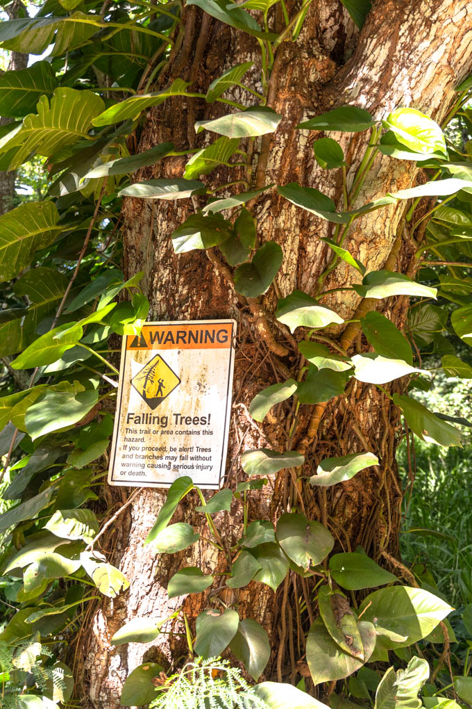 마우이 호놀루아 베이