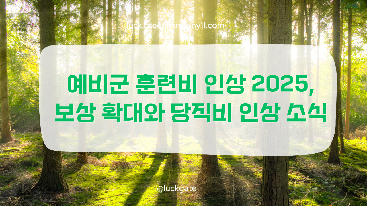 예비군 훈련비 인상 2025