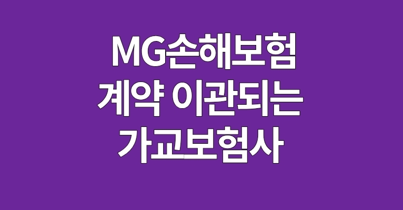 MG 손해보험 계약 이관되는 가교보험사 확인하러 가기