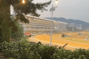 2024 렛츠런파크 서울 가을축제 밤마실 페스티벌