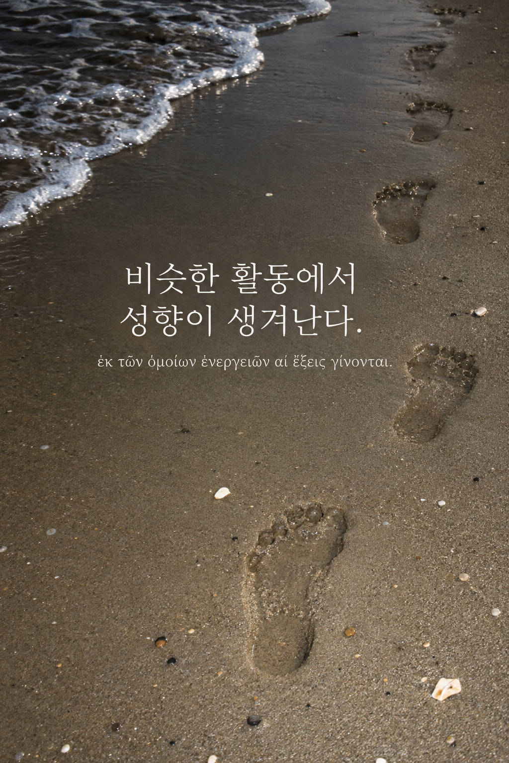 아리스토텔레스 명언 15 — 비슷한 활동에서 성향이 생겨난다. — 온카메라 플래시 스냅