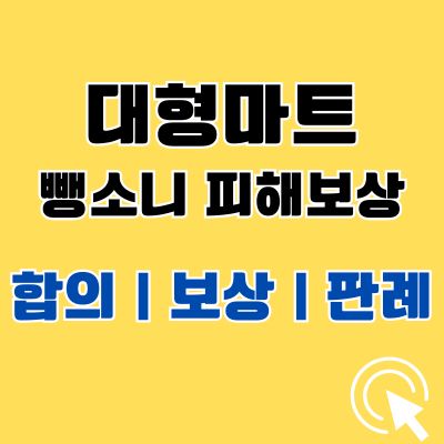 대형마트 뺑소니 피해보상 합의금 판례