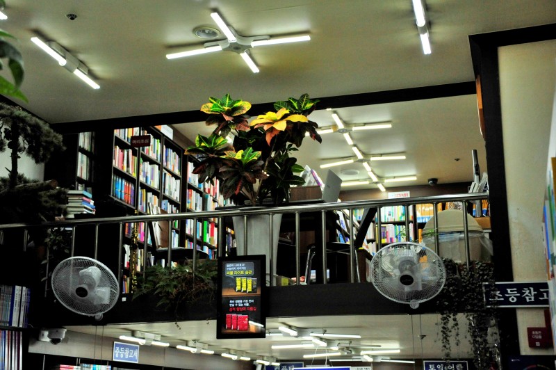 부산의 서점 화명서점 실내