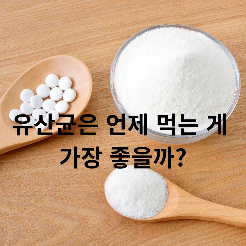 유산균 복용시간별 효과 차이와 올바른 섭취법