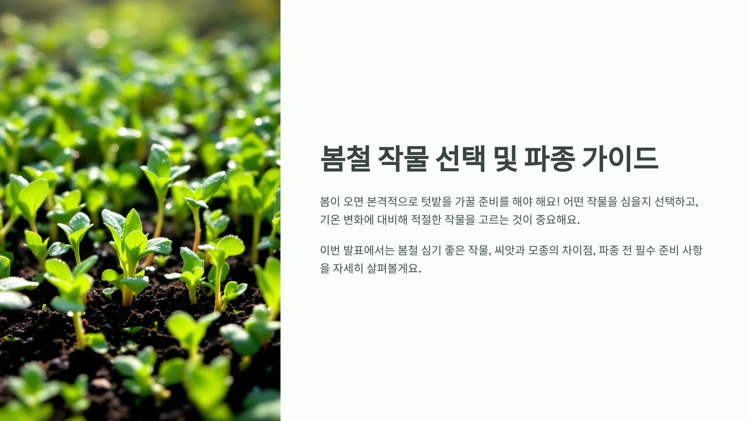 봄철 작물 선택 및 파종 가이드