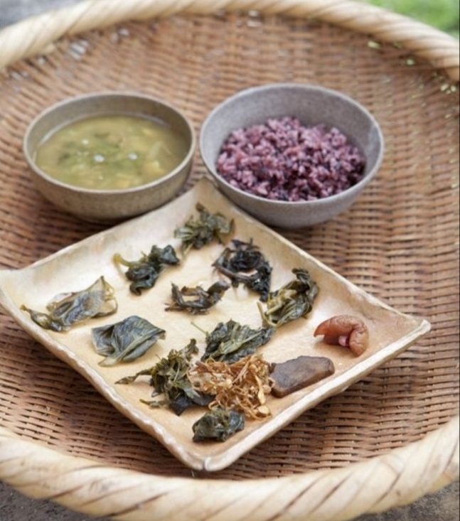 한국인의밥상-담양-슬로시티약초밥상-약초밥상-약초전문가-최금옥-약초저염장아찌