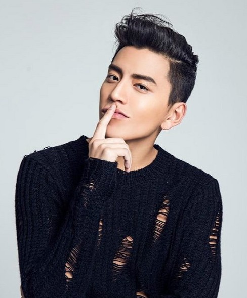 왕대륙 출연 영화추천 - 슈퍼미, 레일로드워, 도굴:귀치전설, 랑전하, 장난스런 키스, 영웅본색4 / 프로필, 나이, 키