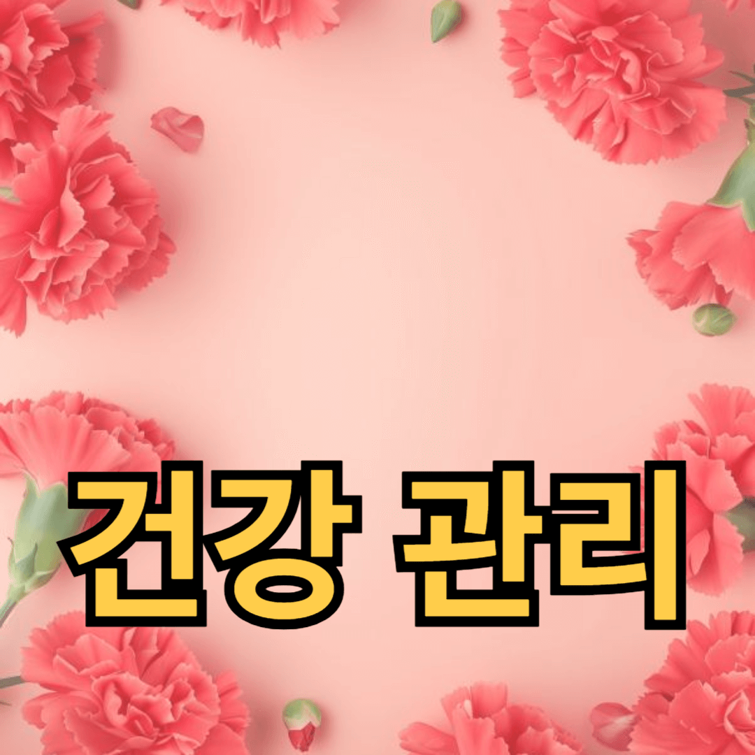 다이어트 성공을 위한 건강 관리 팁