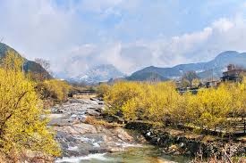 2023 전국 3월 축제 가볼만한 곳