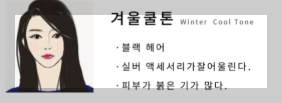겨울 쿨톤 특징