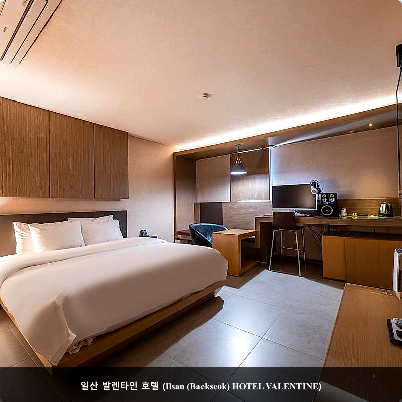 일산 발렌타인 호텔 (Ilsan (Baekseok) HOTEL VALENTINE)_1