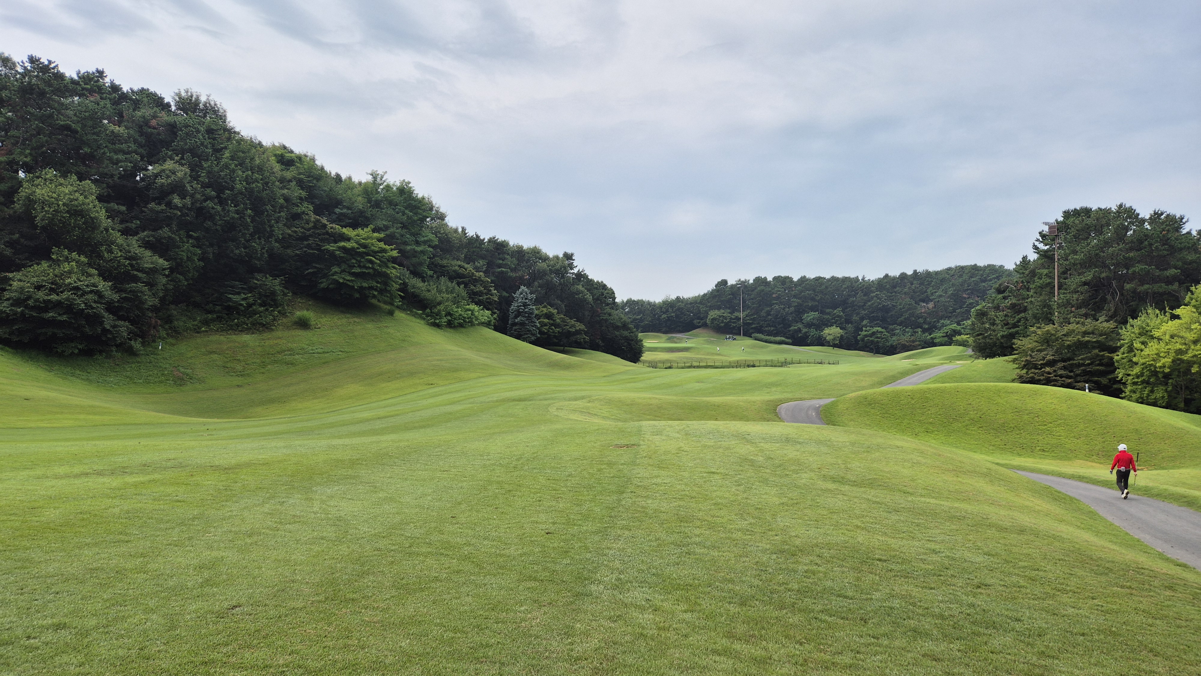 한림용인cc 다이아몬드-사파이어 코스 사진 및 공략 정보