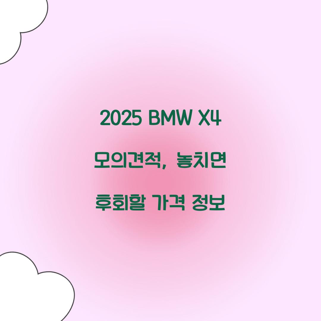 2025 BMW X4 모의견적