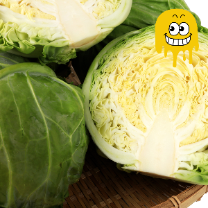 뱃살 빼는 최고의 음식