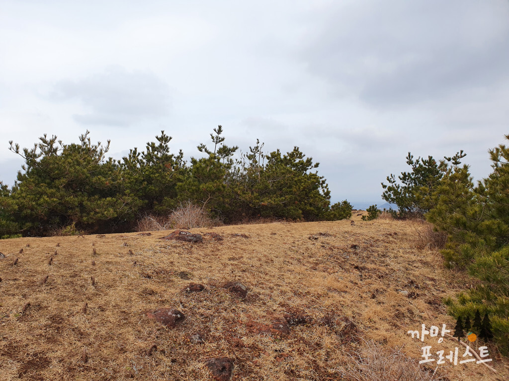 높은 오름 정상둘레길