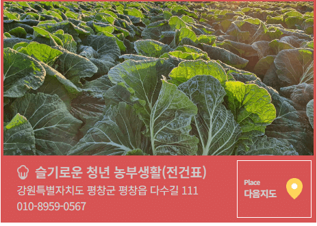 2025 평창김장축제 예약