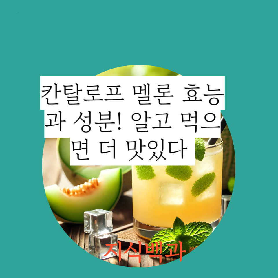 칸탈로프 멜론 효능과 성분! 알고 먹으면 더 맛있다 🍈