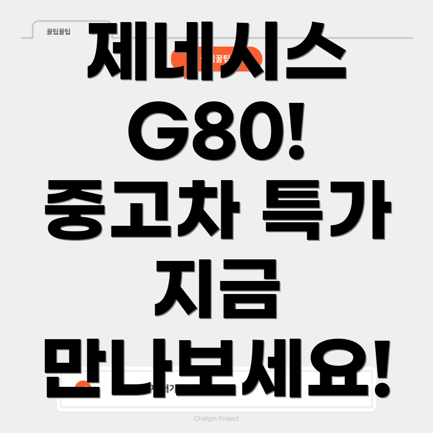 제네시스 G80 중고차