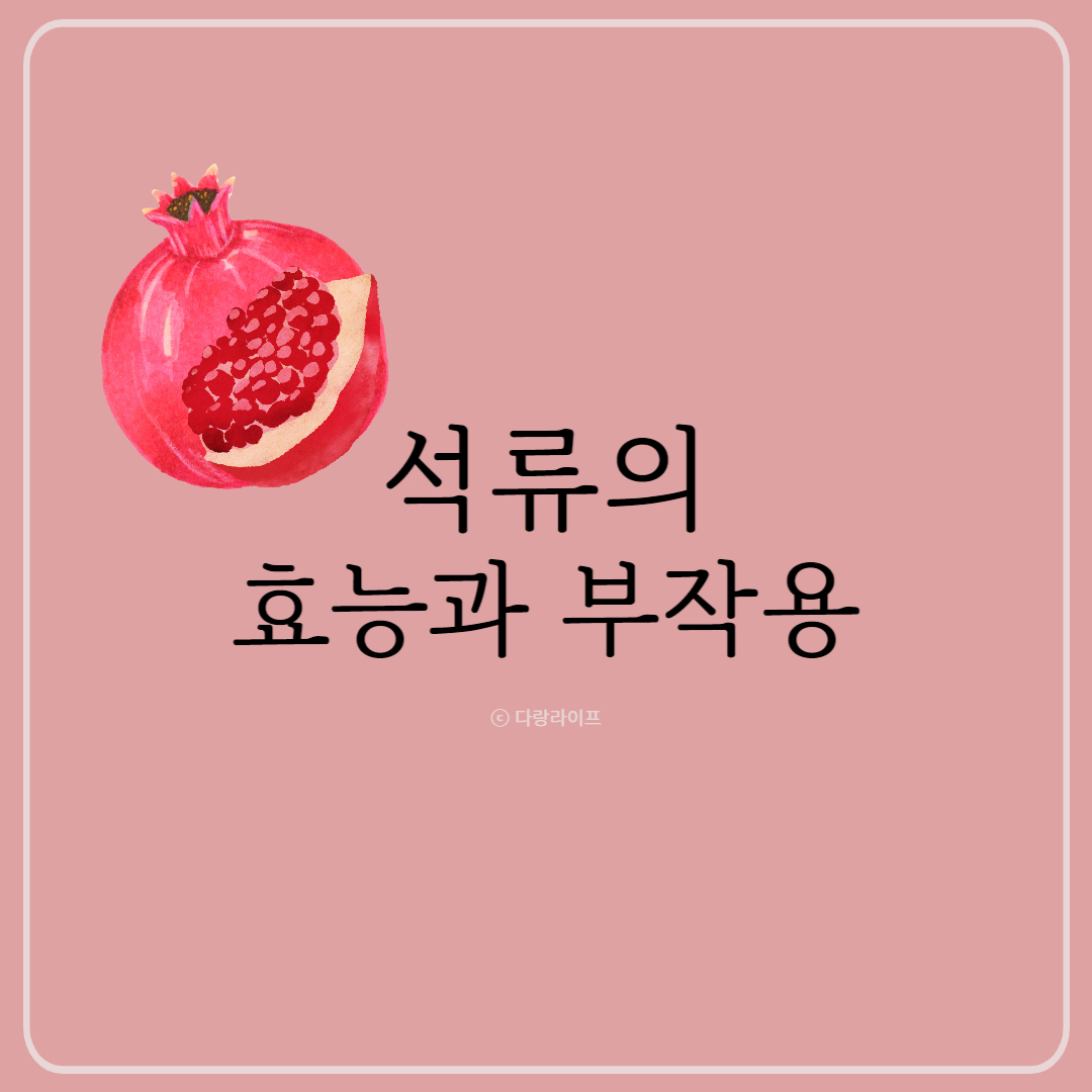 석류의효능과부작용 석류효능 석류부작용