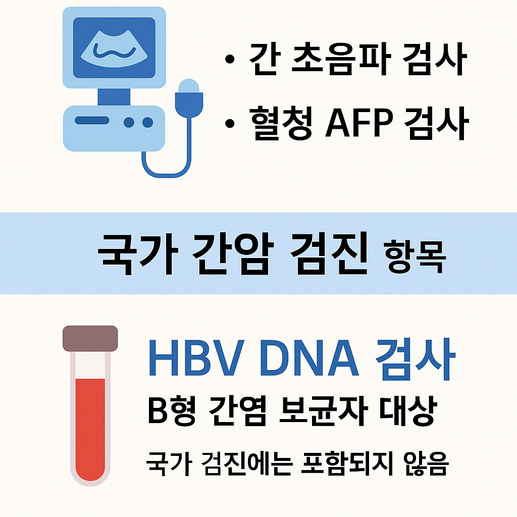 B형간염 건강검진