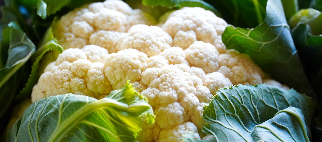 콜리플라워