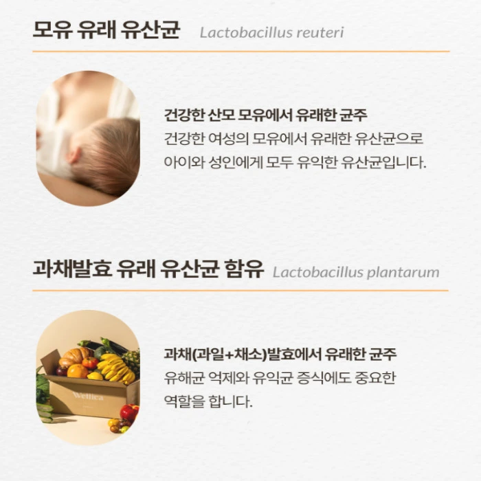 슬리맥스 유산균 내돈내산 후기 부작용 다이어트 효과 복용법