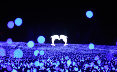 수원 만석공원 새빛축제