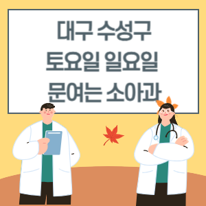 대구 수성구 토요일 일요일 소아과 진료 문여는 병원 리스트