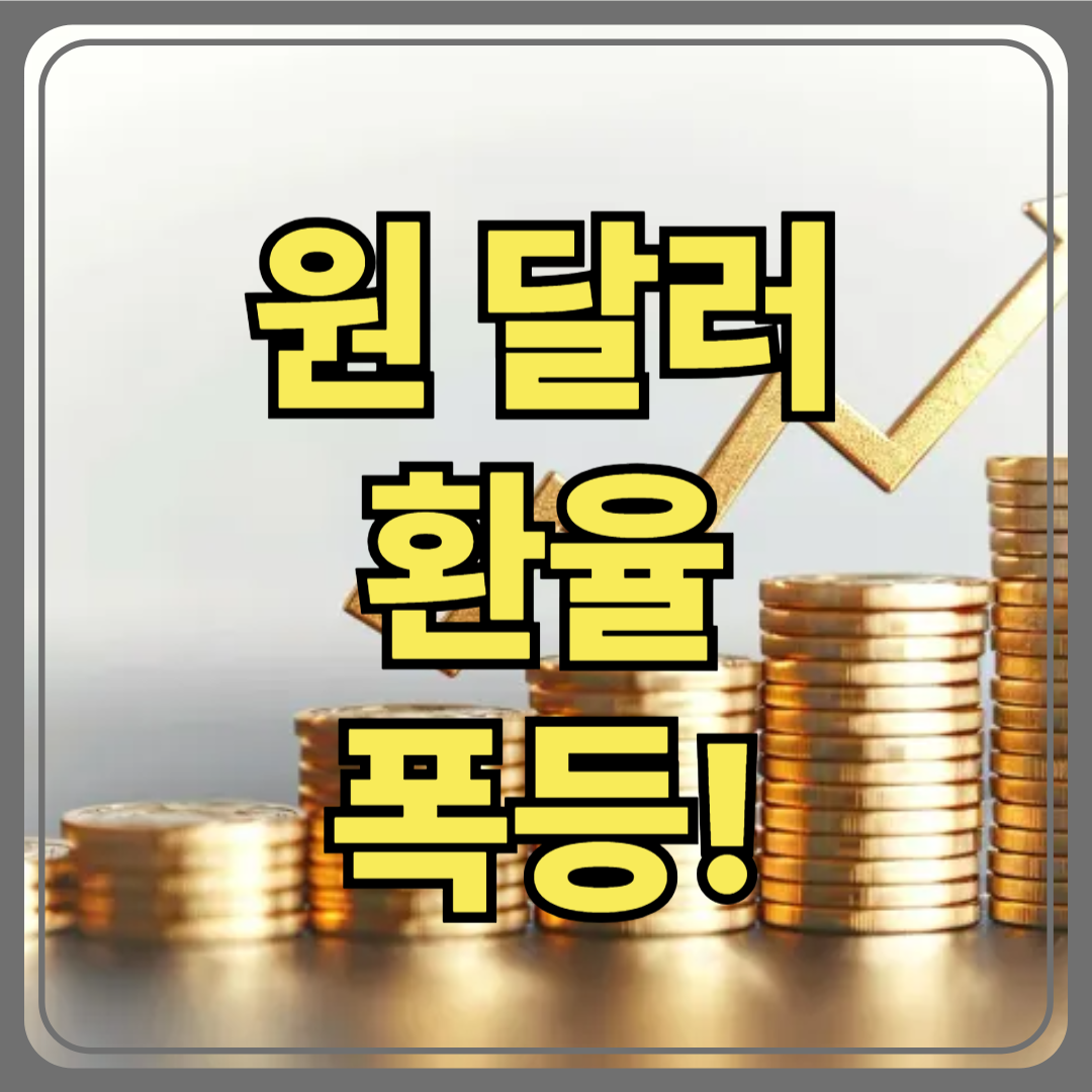 원달러 환율 폭등! 해외직구·수입기업·유학생들, 지금이 가장 힘들다