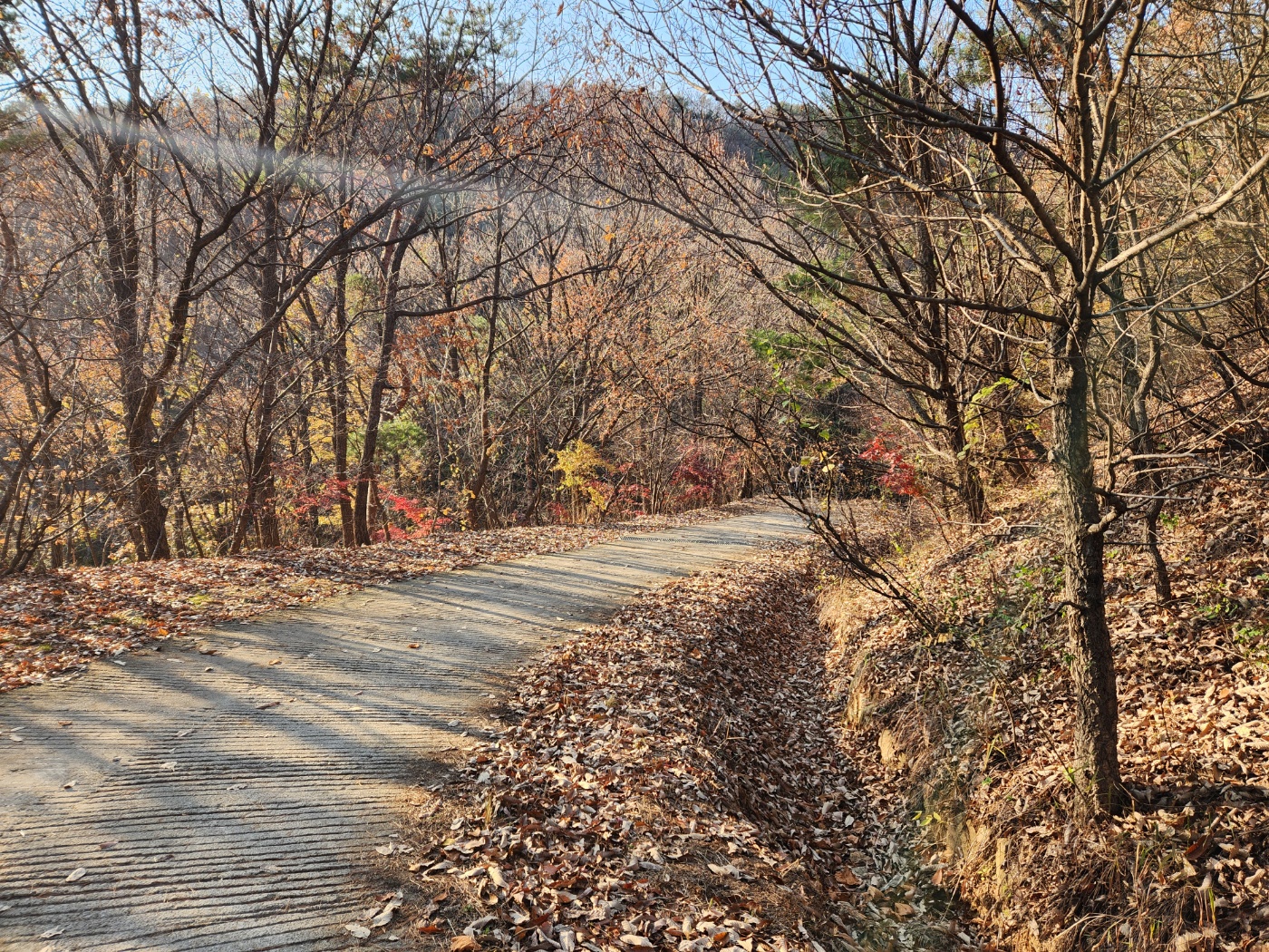 수리산-둘레길-내려오는길-낙엽이 주변에 있는 넓은 산행길