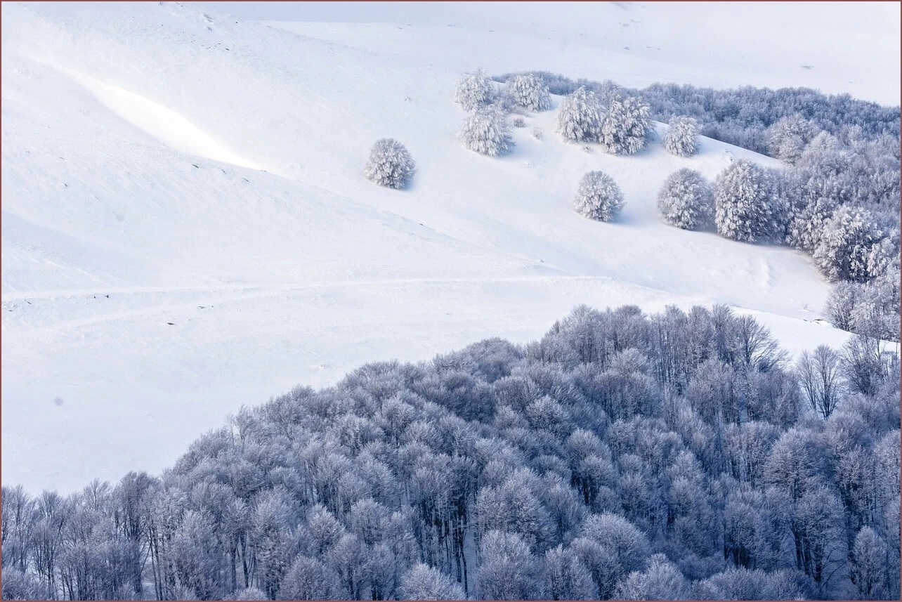 은행 예금금리비교