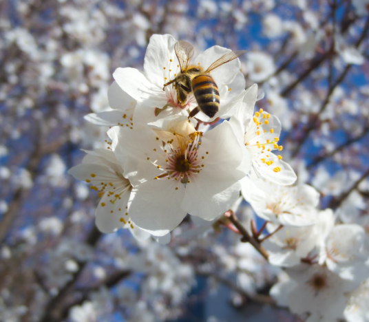 봄철 알레르기 증상, 검사 총정리