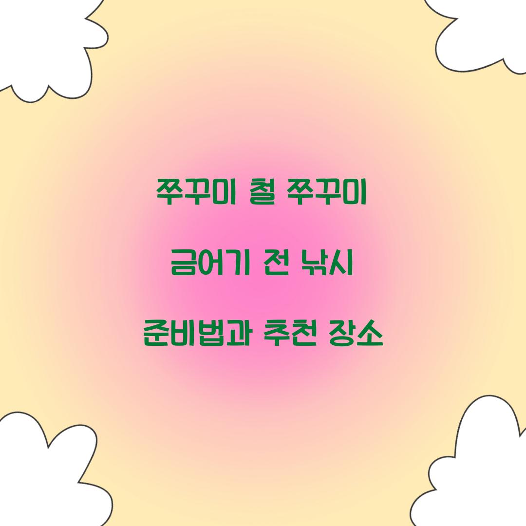 쭈꾸미 철 쭈꾸미 금어기
