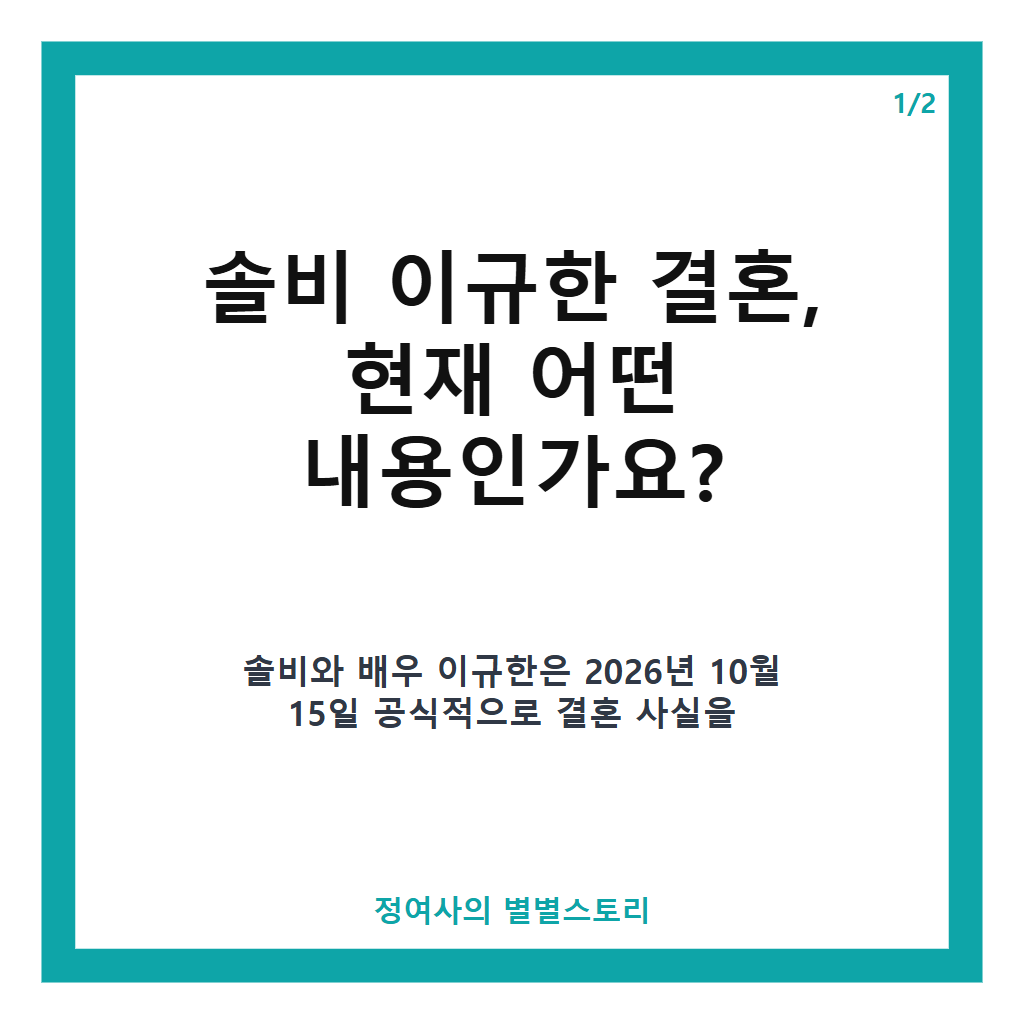 솔비 이규한 결혼 발표와 2027년 4월 비공개 예식 일정 총정리 카드뉴스 1