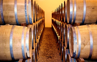 발효주 저장 모습