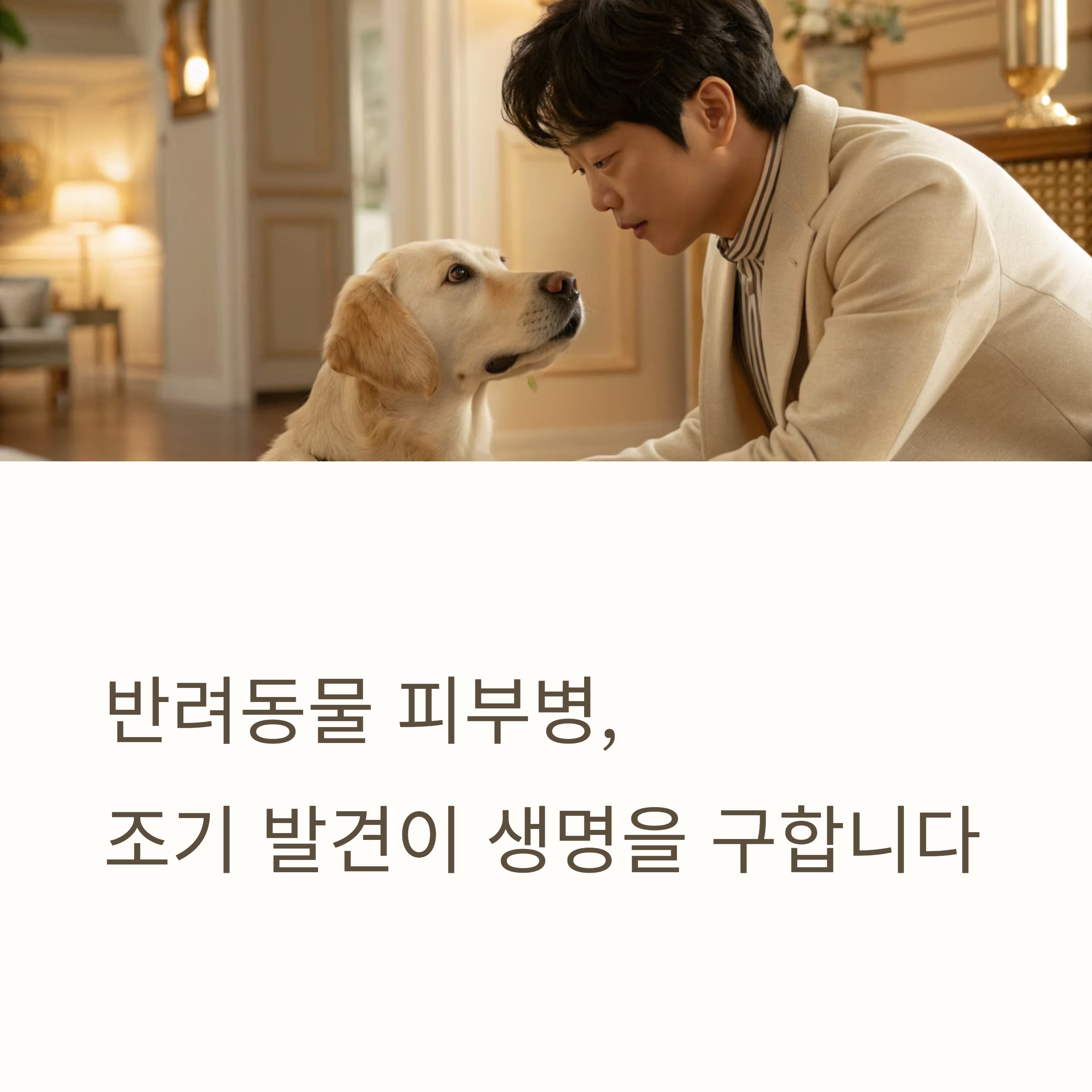 반려동물 피부병, 조기 발견이 생명을 구합니다