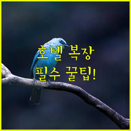고급 호텔 애프터눈 티 바 라운지 복..