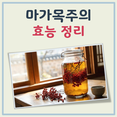 마각목주의 효능 대표 이미지