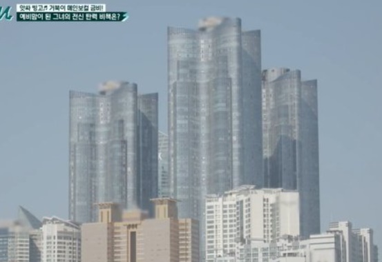 거북이 금비