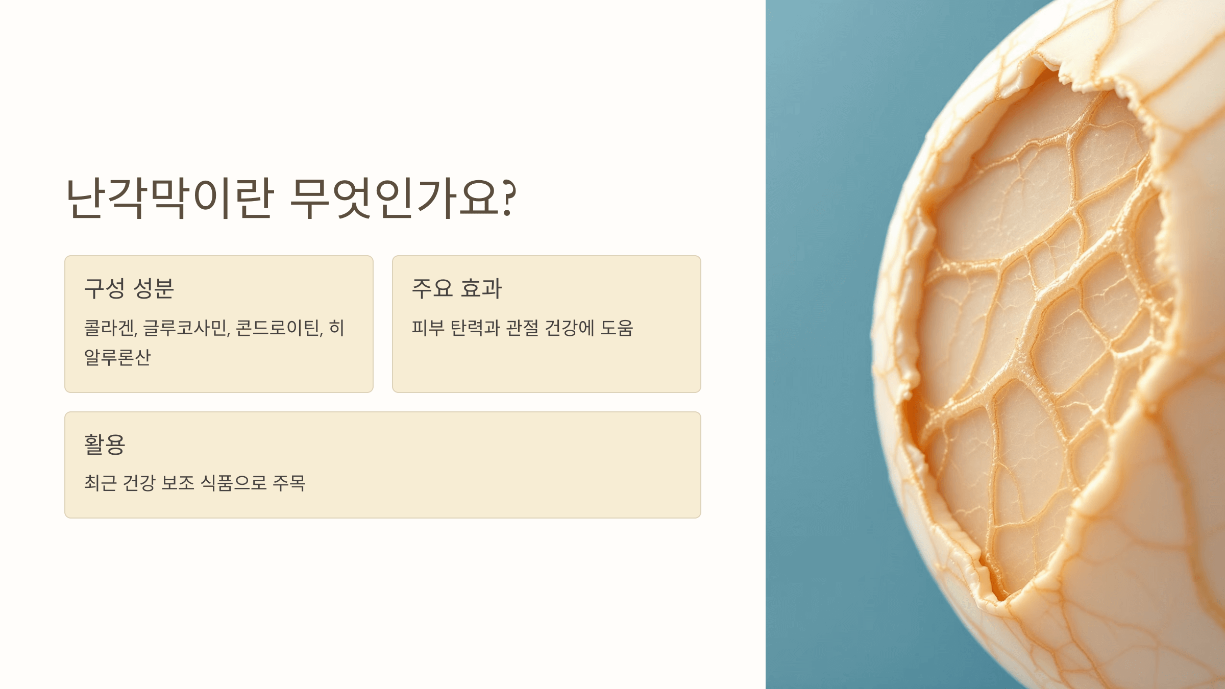 난각막 사진입니다.